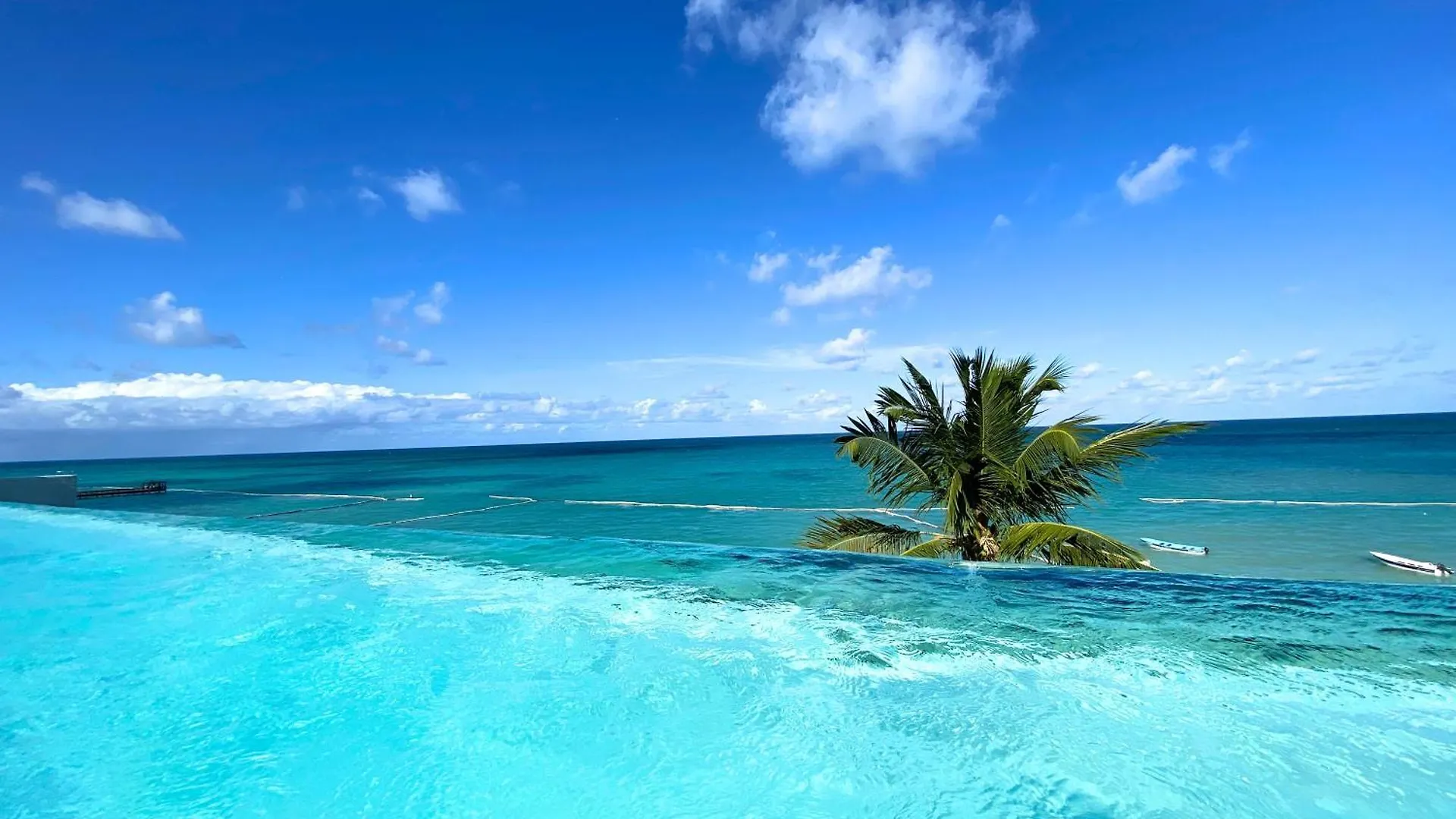 *****  Caraibo Palms Beach Club & Spa Ξενοδοχείο Πούντα Κάνα Δομινικανή Δημοκρατία
